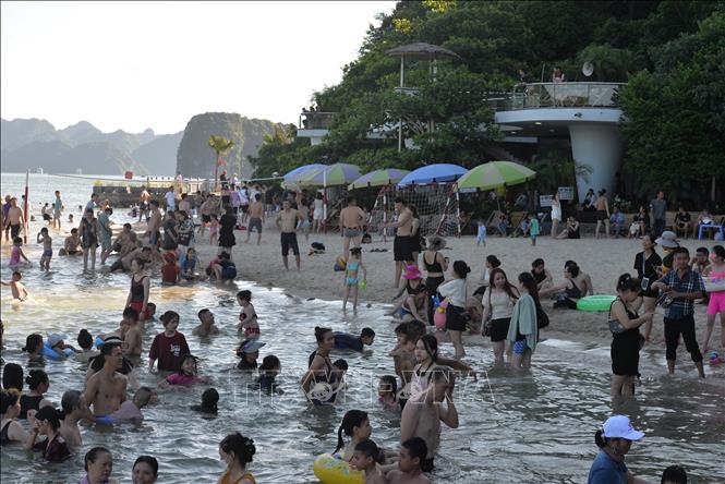 Trong ảnh: Bãi biển Titop thường quá tải, có thời điểm tập trung khoảng 2.000 người tắm. Ảnh: Thanh Vân-TTXVN