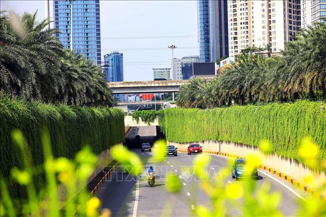 Hanoi plants many trees in its streets with the aim to increase green space in the city to help reduce smoke, dust and noise. VNA Photo