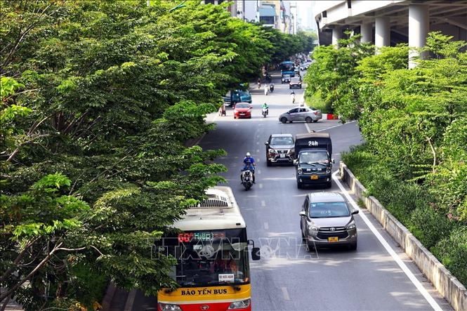 Hanoi plants many trees in its streets with the aim to increase green space in the city to help reduce smoke, dust and noise. VNA Photo