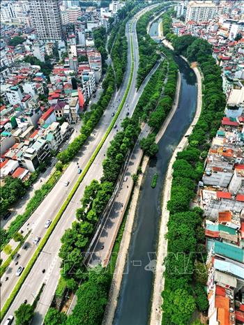 The city plans to add about 200,000-250,000 trees to its urban routes in 2022. VNA Photo