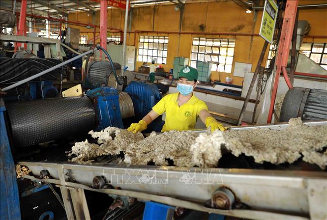 Nhà máy sản xuất cao su của Công ty Phú Riềng. Ảnh: Vũ Sinh - TTXVN