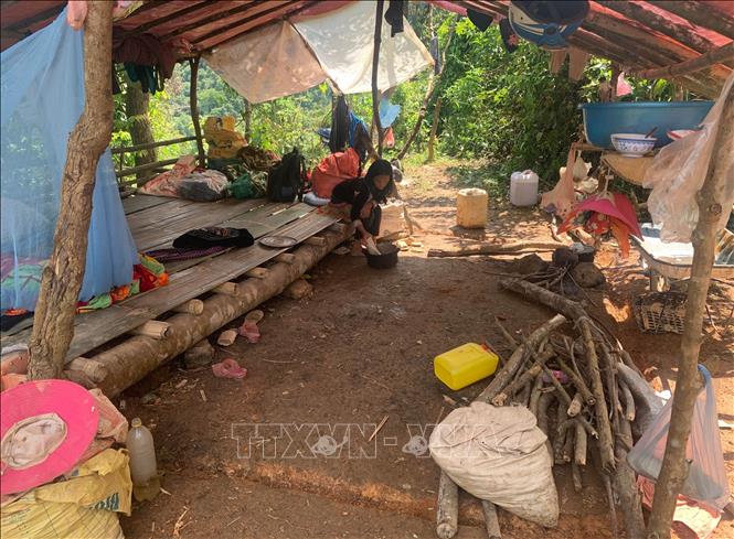  Mỗi lán trại sẽ ở theo gia đình hoặc người thân từ 6 đến hơn 10 người. Ảnh: Nhóm PV TTXVN tại Lai Châu