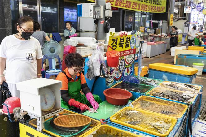 Trong ảnh: Hải sản tươi sống được chế biến trực tiếp và phục vụ khách hàng ngay tại chợ Jungang ở trung tâm thành phố Tongyeong. Ảnh: Anh Nguyên - PV TTXVN tại Hàn Quốc