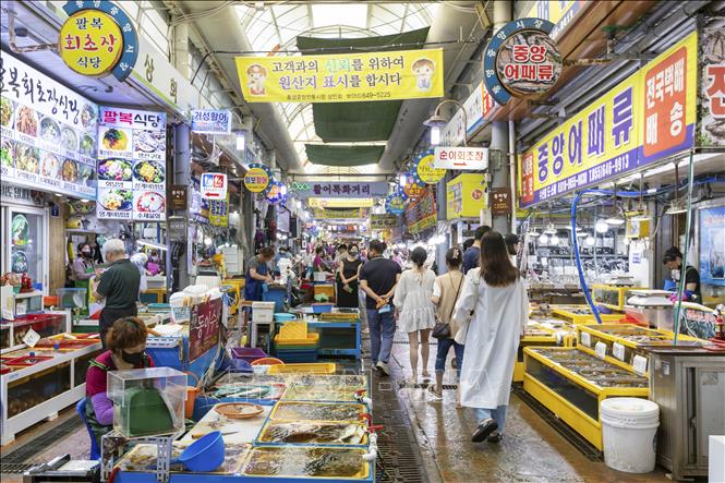 Trong ảnh: Chợ truyền thống Jungang chuyên về hải sản tươi sống tại trung tâm thành phố Tongyeong. Ảnh: Anh Nguyên - PV TTXVN tại Hàn Quốc