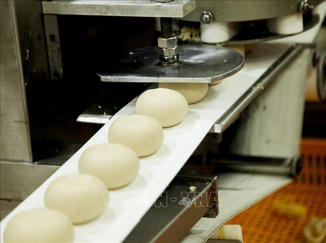 Trong ảnh: Dây chuyền sản xuất bánh pía Tân Huê Viên. Ảnh: Hồng Đạt - TTXVN
