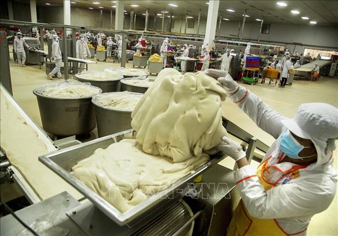 Trong ảnh: Bột được trộn nhuyễn trước khi làm bánh pía. Ảnh: Hồng Đạt - TTXVN
