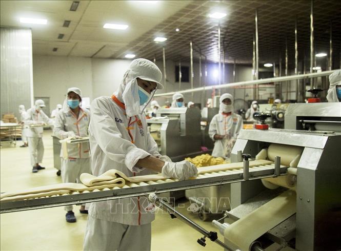 Trong ảnh: Công nhân làm việc trong xưởng sản xuất bánh pía Tân Huê Viên. Ảnh: Hồng Đạt - TTXVN
