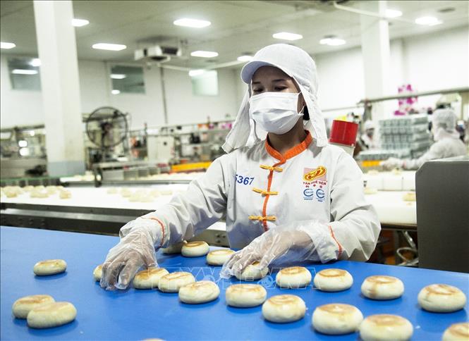 Trong ảnh: Khâu kiểm định chất lượng bánh pía trước khi đóng gói. Ảnh: Hồng Đạt - TTXVN
