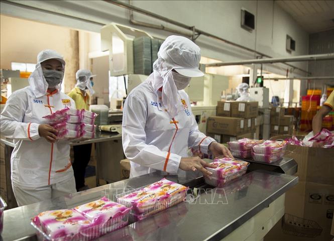 Trong ảnh: Đóng gói bánh pía Tân Huê Viên. Ảnh: Hồng Đạt - TTXVN
