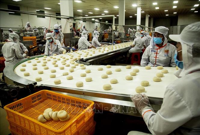 Trong ảnh: Hoạt động sản xuất trong xưởng bánh pía Tân Huê Viên, 153 Quốc lộ 1A, ấp Phụng Hiệp, xã An Hiệp, huyện Châu Thành (Sóc Trăng). Ảnh: Hồng Đạt - TTXVN

