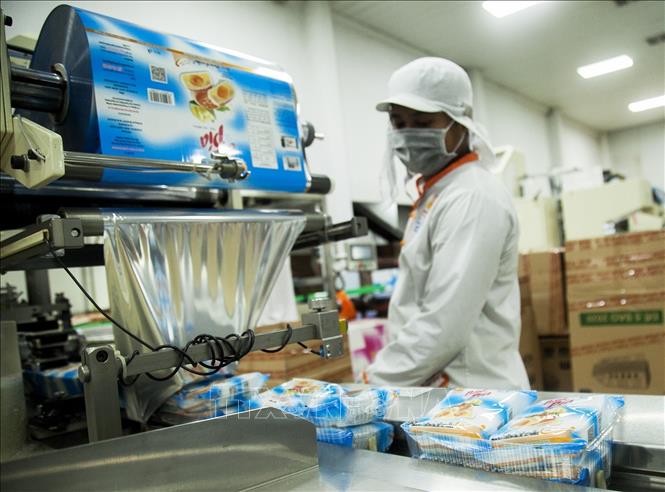 Trong ảnh: Đóng gói bánh pía Tân Huê Viên. Ảnh: Hồng Đạt - TTXVN
