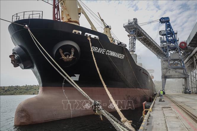 Trong ảnh: Chất ngũ cốc lên tàu Brave Commander tại cảng Pivdennyi, gần Odessa, Ukraine ngày 14/8/2022. Ảnh: AFP/TTXVN