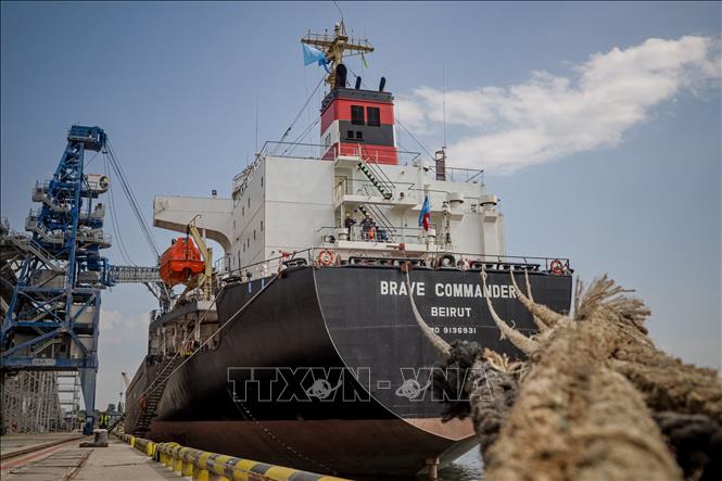 Trong ảnh: Chất ngũ cốc lên tàu Brave Commander tại cảng Pivdennyi, gần Odessa, Ukraine ngày 14/8/2022. Ảnh: AFP/TTXVN