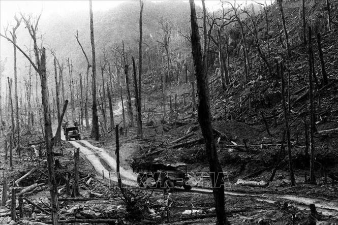 Mặc cho bom đạn và chất độc hóa học Mỹ, các đoàn xe của bộ đội vẫn ngày đêm vượt Trường Sơn, chi việc cho tiền tuyến lớn miền Nam đánh giặc. Ảnh: Văn Sắc - TTXVN