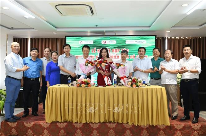 Trong ảnh: Ký biên bản ghi nhớ hợp tác nghiên cứu và phát triển sâm Bố Chính Quảng Bình với Hội Đông y thành phố Hà Nội và công ty cổ phần Đông Tây y Trường Xuân (Hà Nội). Ảnh: Đức Thọ - TTXVN. 