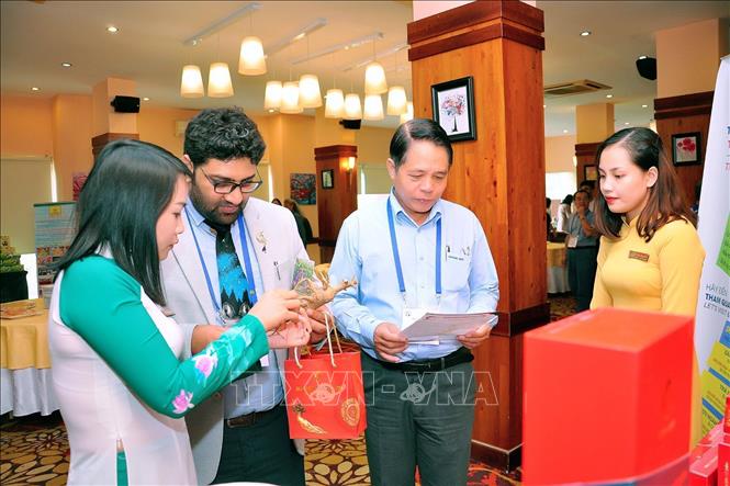 Trong ảnh: Giới thiệu sản phẩm và nghiên cứu, phát triển sâm Bố Chính Quảng Bình. Ảnh: TTXVN phát. 