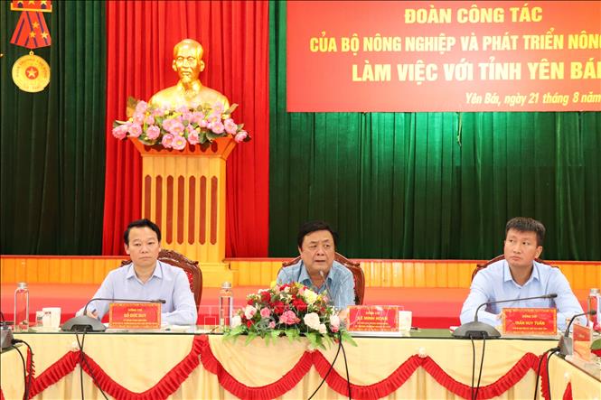 Bộ trưởng Bộ NN và PTNT Lê Minh Hoan phát biểu tại buổi làm việc với tỉnh Yên Bái về kết quả phát triển nông nghiệp của tỉnh.Ảnh: Đức Tưởng - TTXVN