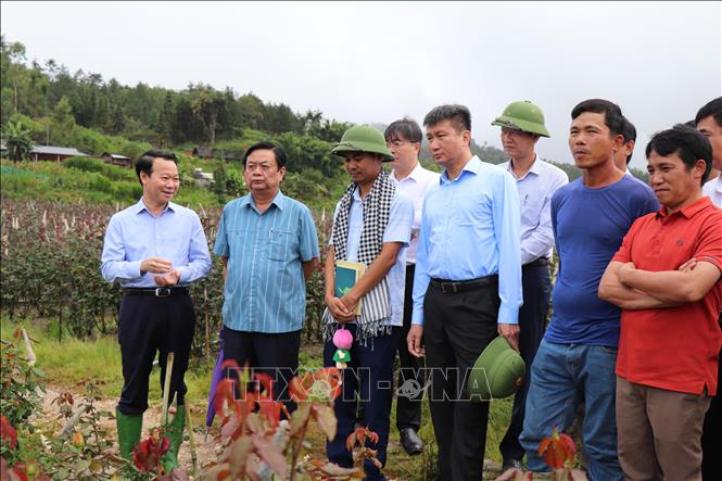 Bộ trưởng Bộ NN và PTNT Lê Minh Hoan cùng đoàn công tác thăm mô hình trồng hoa hồng của Hợp tác xã Hoa Hồng Nậm Khắt, xã Nậm Khắt, huyện Mù Cang Chải. Ảnh: Đức Tưởng - TTXVN

