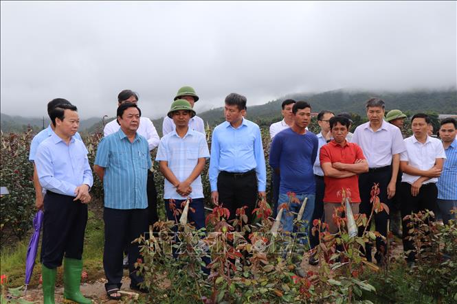 Bộ trưởng Bộ NN và PTNT Lê Minh Hoan cùng đoàn công tác thăm mô hình trồng hoa hồng của Hợp tác xã Hoa Hồng Nậm Khắt, xã Nậm Khắt, huyện Mù Cang Chải.Ảnh: Đức Tưởng - TTXVN