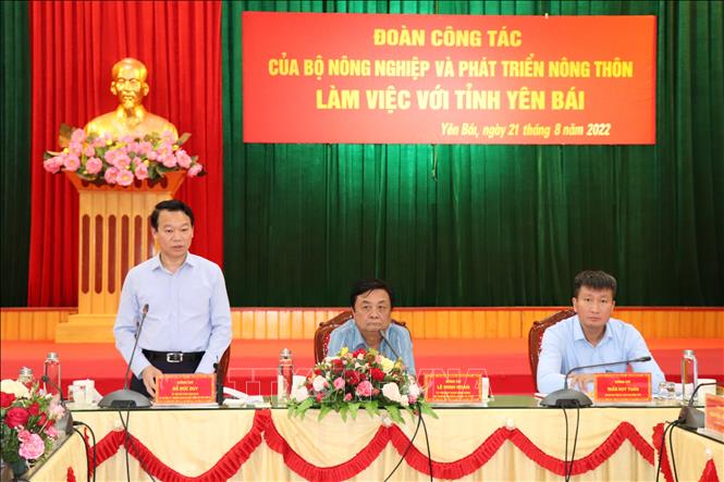 Bí thư Tỉnh ủy Yên Bái Đỗ Đức Duy phát biểu tại buổi làm việc với Đoàn công tác của Bộ Nông nghiệp và Phát triển nông thôn. Ảnh: Đức Tưởng - TTXVN 