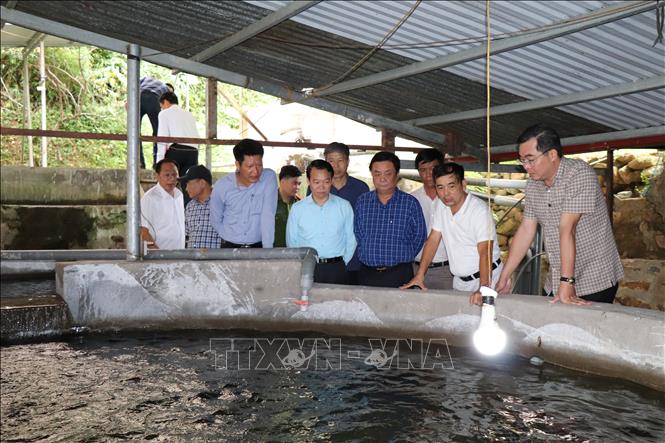 Bộ trưởng Bộ NN và PTNT Lê Minh Hoan cùng đoàn công tác thăm mô hình nuôi cá nước lạnh tại Công ty TNHH Thanh Huy, xã Cao Phạ, huyện Mù Cang Chải. Ảnh: Đức Tưởng - TTXVN