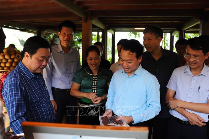 Bộ trưởng Bộ NN và PTNT Lê Minh Hoan cùng đoàn công tác thăm mô hình du lịch cộng đồng Homestay tại thị xã Nghĩa Lộ. Ảnh: Đức Tưởng - TTXVN