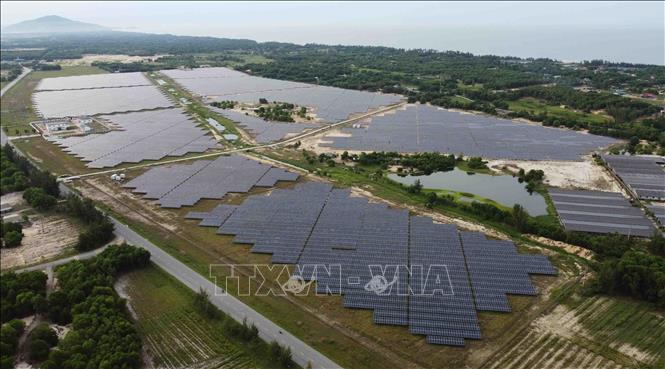 Nhà máy Điện mặt trời Cẩm Hòa có diện tích 60 ha, được lắp đặt 152.670 tấm pin mặt trời và giá đỡ (tương đương 5.089 giàn pin). Ảnh: Vũ Sinh - TTXVN