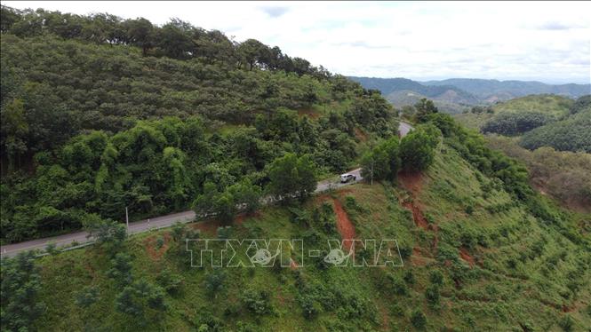 Trong ảnh: Vị trí mặt đường ĐT 755B đoạn qua khu vực thôn 5, xã Đăng Hà, huyện Bù Đăng, tỉnh Bình Phước mặc dù đã được cố phần taluy âm, tuy nhiên tình trạng sạt lở vẫn tái diễn mỗi khi vào mùa mưa. Ảnh: Sỹ Tuyên – TTXVN