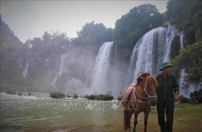 A local providing the horse-renting service at Ban Gioc waterfall area. VNA Photo: Chu Hiệu