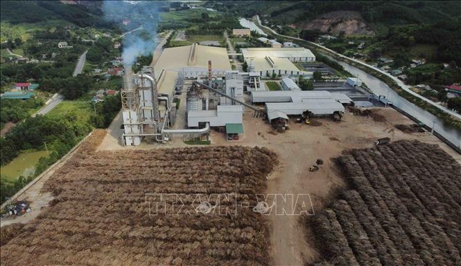 Đến hết tháng 7/2022, Công ty cổ phần gỗ MDF Thanh Thành Đạt ở Cụm công nghiệp Vũ Quang, xã Sơn Thọ, huyện Vũ Quang đã cung cấp phục vụ thị trường trong nước và xuất khẩu được 144.000m3, doanh thu gần 400 tỷ đồng. Ảnh: Vũ Sinh - TTXVN