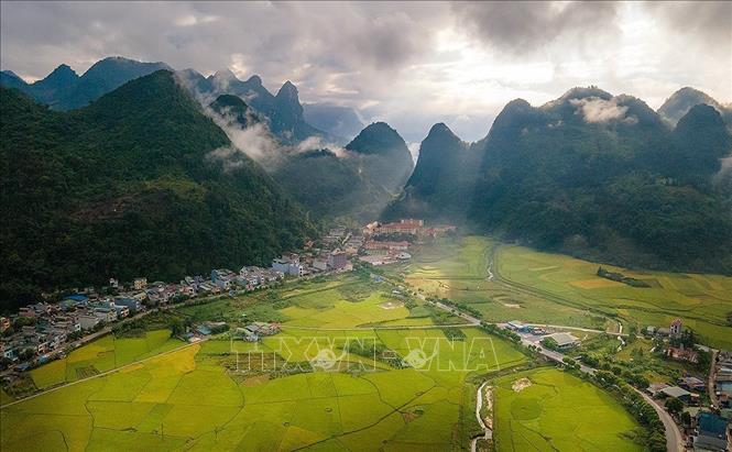 Trong ảnh: Mùa vàng Mường Khương đẹp ngất ngây trong nắng sớm. Ảnh: TTXVN phát