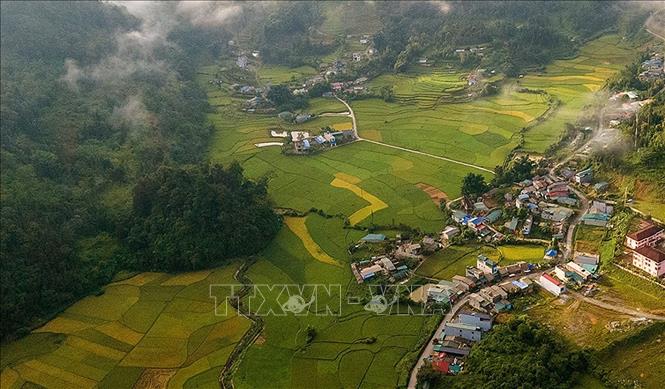 Trong ảnh: Được bao bọc bởi những dãy núi đá vôi trùng điệp, hùng vĩ, những cánh đồng lúa chín bao la tại thung lũng Mường Khương đã tạo nên khung cảnh thiên nhiên hữu tình cuốn hút lòng người. Ảnh: TTXVN phát
