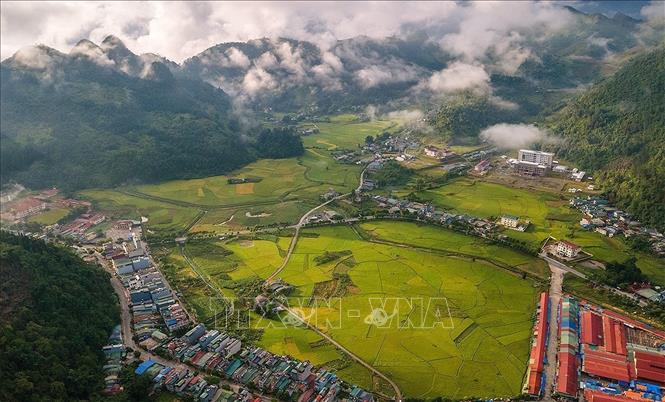Trong ảnh: Sắc vàng rực rỡ của những thửa ruộng bậc thang hứa hẹn mang lại cuộc sống no ấm, đủ đầy cho đồng bào các dân tộc nơi biên viễn Tổ quốc. Ảnh: TTXVN phát
