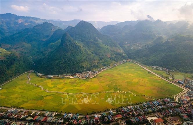 Trong ảnh: Trong ảnh: Dải lụa vàng giữa đại ngàn biên ải. Ảnh: TTXVN phát