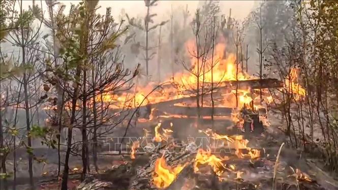 Trong ảnh: Cháy rừng lan rộng tại vùng Ryazan, ngoại ô Moskva, Nga, ngày 24/8/2022. Ảnh: AFP/TTXVN