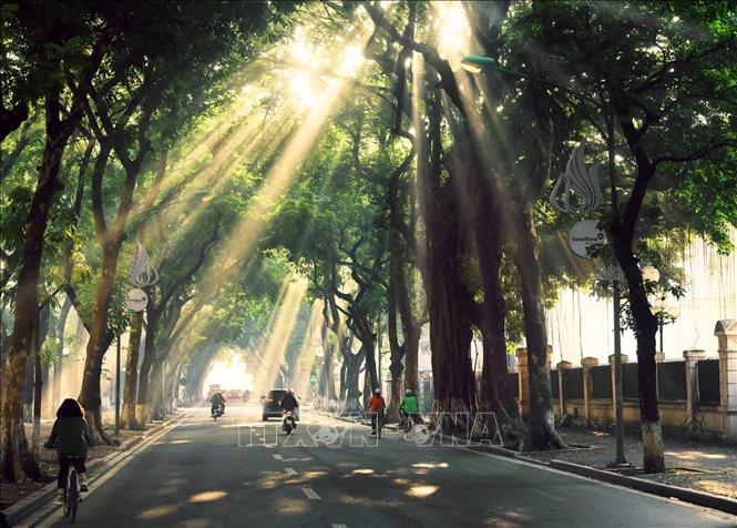 Morning sunshine on Phan Dinh Phung street. VNA Photo: Lâm Khánh 