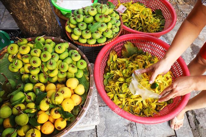 Fresh gold apple fruits (Diospyros decandra) and ylang-ylang (cananga odorata) are typical in autumn. VNA Photo: Lâm Khánh