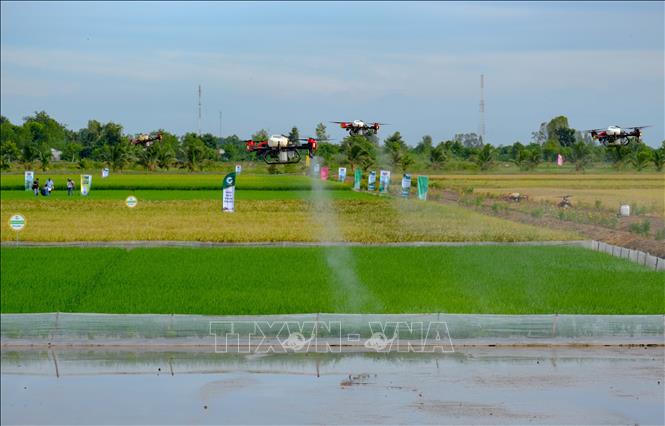 A machinery field demonstration for agricultural production with high efficiency in Can Tho City. VNA Photo: Thanh Liêm