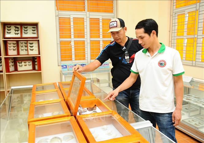 Du khách tham quan Bảo tàng thiên nhiên Vườn Quốc gia Cát Bà. Ảnh: Minh Đức - TTXVN