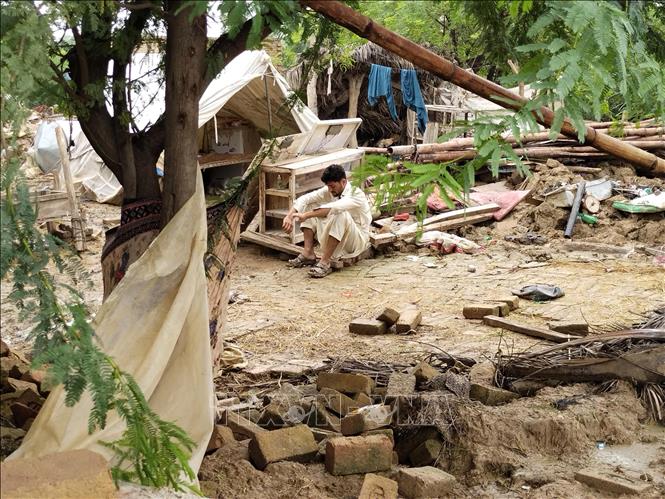 Trong ảnh: Một căn nhà bị phá huỷ ở khu vực ngập lụt do mưa lũ tại huyện Rajanpur, tỉnh Punjab, Pakistan ngày 25/8/2022. Ảnh: THX/TTXVN