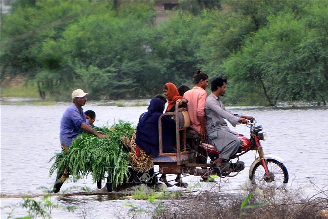 Trong ảnh: Người dân sơ tán khỏi khu vực ngập lụt do mưa lũ tại huyện Tando Allahyar, tỉnh Sindh, miền Nam Pakistan ngày 25/8/2022. Ảnh: THX/TTXVN