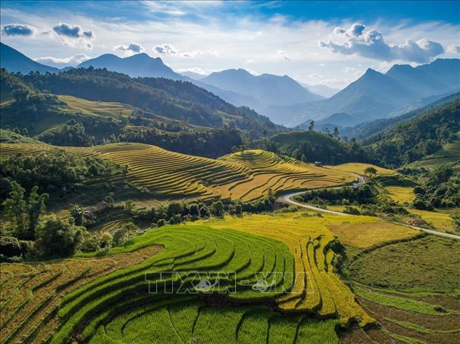 Autumn reaches Sapa with the sign of green rice fields gradually changing to a ripe golden hue. VNA Photo: Quốc Khánh