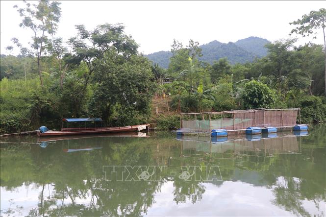 Trong ảnh: Người dân dọc sông Giăng, Nghệ An làm những bè nuôi cá, mỗi năm cho thu nhập hàng trăm triệu đồng. Ảnh: Nguyễn Văn Nhật - TTXVN