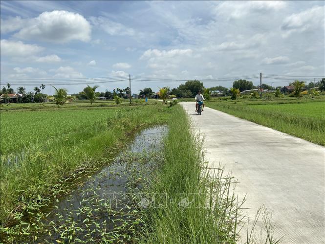 9 hộ dân ở ấp Nhơn Hòa 1, xã Đức Hòa Thượng cùng đóng góp 500 triệu đồng làm đường bê tông và kênh mương nội đồng dẫn vào tận ruộng của mình. Ảnh: Đức Hạnh - TTXVN