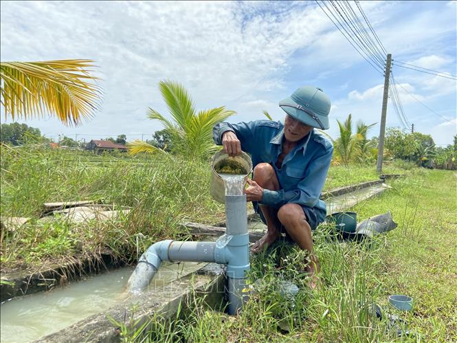 Ông Trần Văn Thinh, xã Đức Hòa Thượng, huyện Đức Hòa đang bồi nước để dẫn nước từ kênh cấp 3, khu tưới Đức Hòa vào ruộng nhà mình. Ảnh: Đức Hạnh - TTXVN