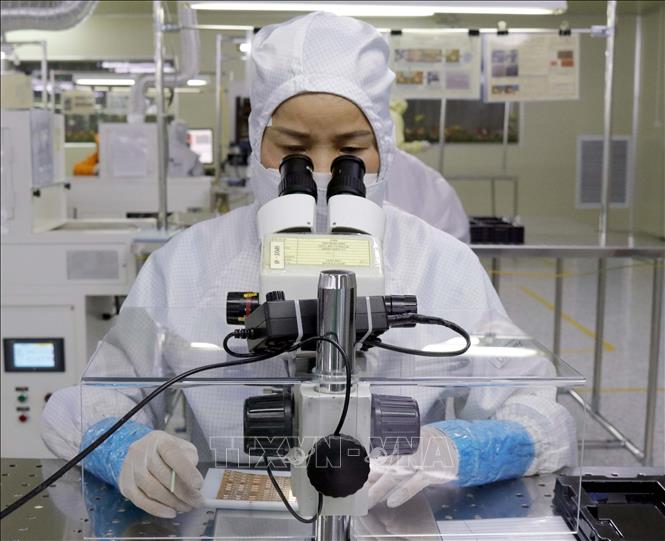 Manufacturing electronic devices at the South Korean-invested Daeyang Hanoi Co. Ltd in the northern province of Bac Giang. VNA Photo: Đồng Thúy