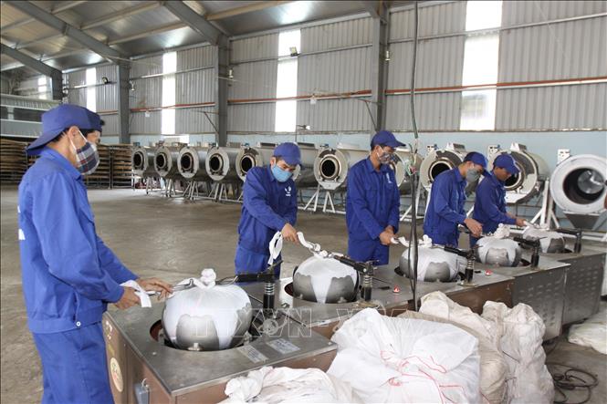 Producing the O Long tea product at the Tam Duong Tea Development and Investment JSC in the northern province of Lai Chau. VNA Photo