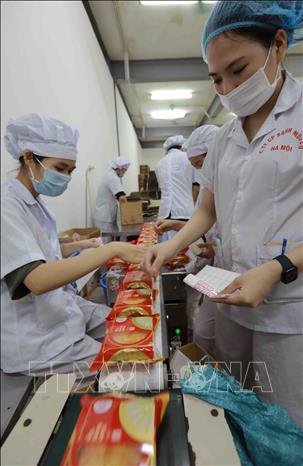 HANOBACO sản xuất 350 tấn bánh Trung thu truyền thống phục vụ thị ...