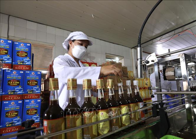 Công ty TNHH Quang Hải mỗi năm cung ứng ra thị trường hơn 1 triệu sản phẩm chất lượng, phục vụ nhu cầu ngày càng cao của người tiêu dùng. Ảnh: Hoàng Hiếu - TTXVN