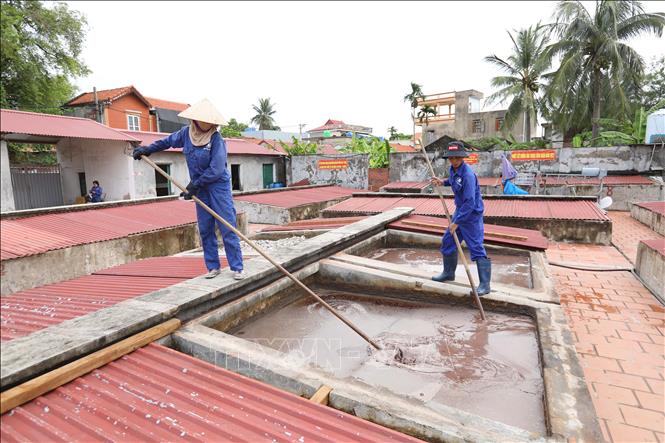 Nhân viên Công ty TNHH Quang Hải sản xuất nước mắm theo phương pháp truyền thống. Ảnh: Hoàng Hiếu - TTXVN